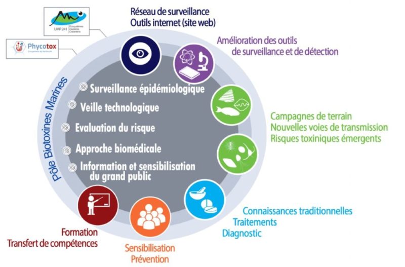 Figure 1 : Approche intégrée pour la surveillance et la gestion du risque ciguatérique en Polynésie française - © ILM
