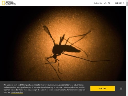 https://www.nationalgeographic.com/news/2016/02/160207-mosquitoes-zika-virus-environment-science-animals/